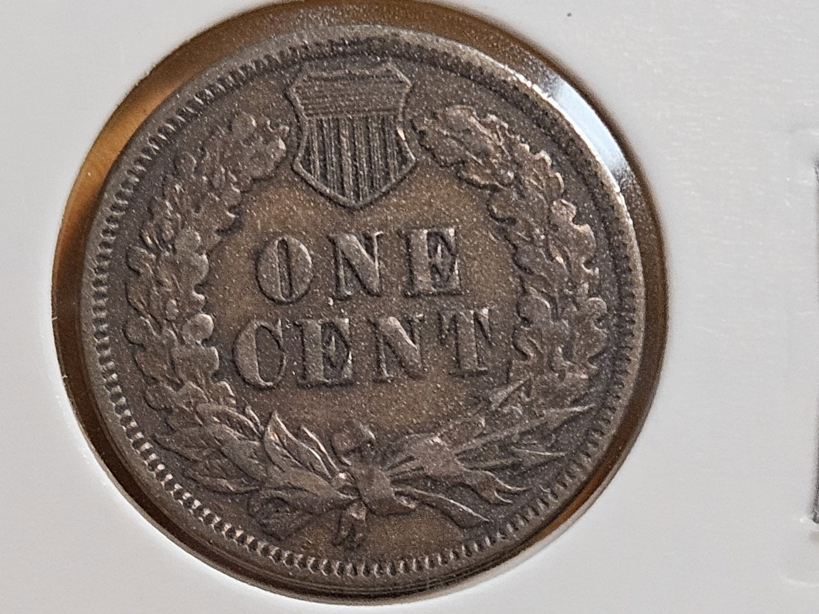 Four nicer Indian cents in Extra Fine through Uncirculated Red-Brown - 5