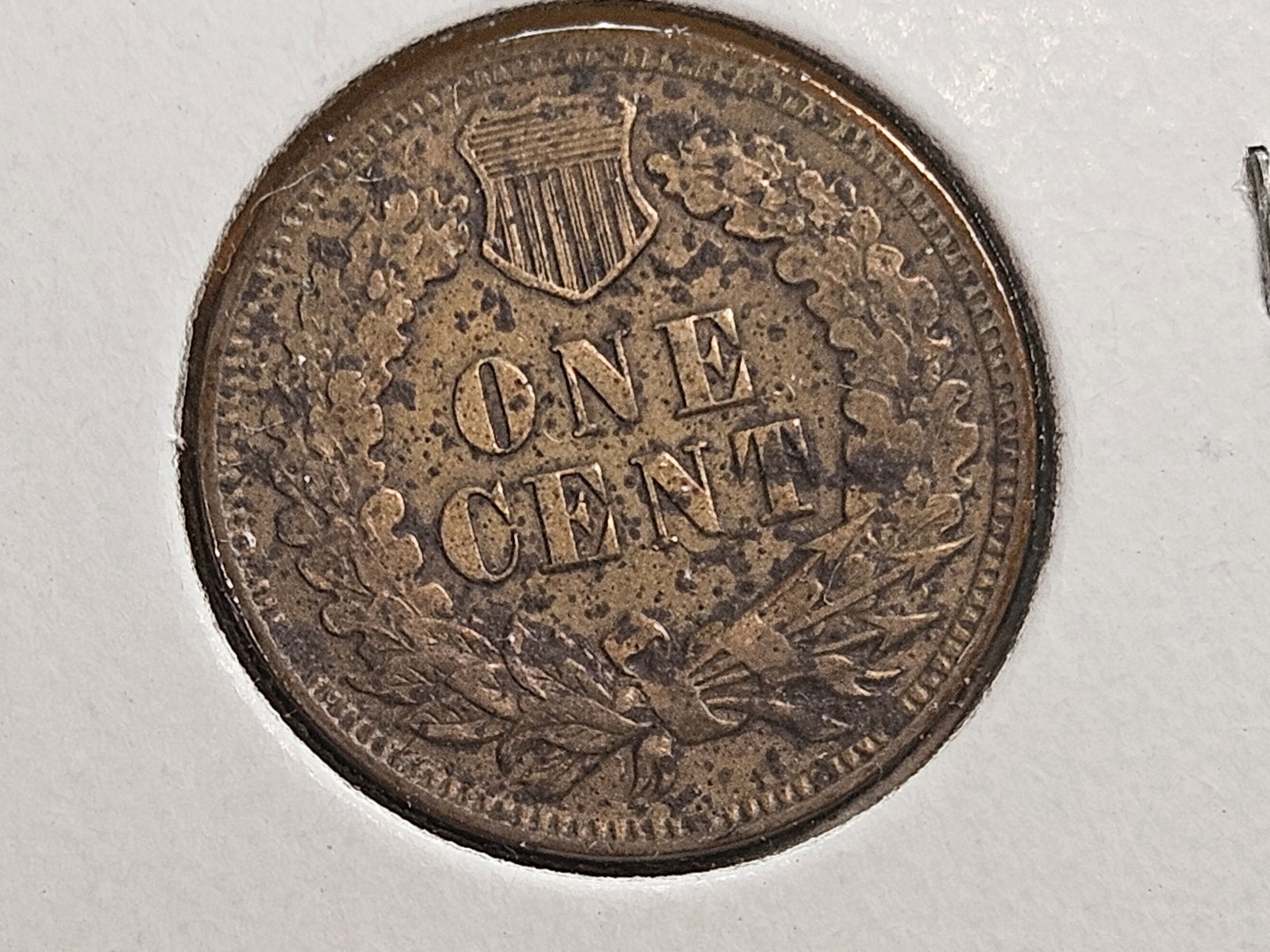 Four nicer Indian cents in Extra Fine through Uncirculated Red-Brown - 7