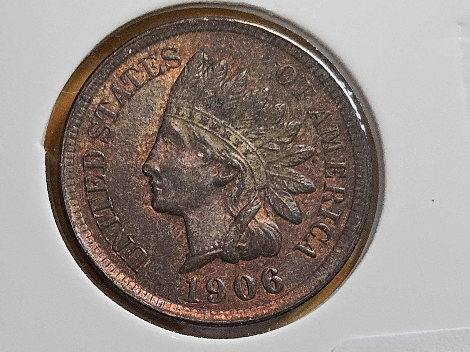 Four nicer Indian cents in Extra Fine through Uncirculated Red-Brown - 9