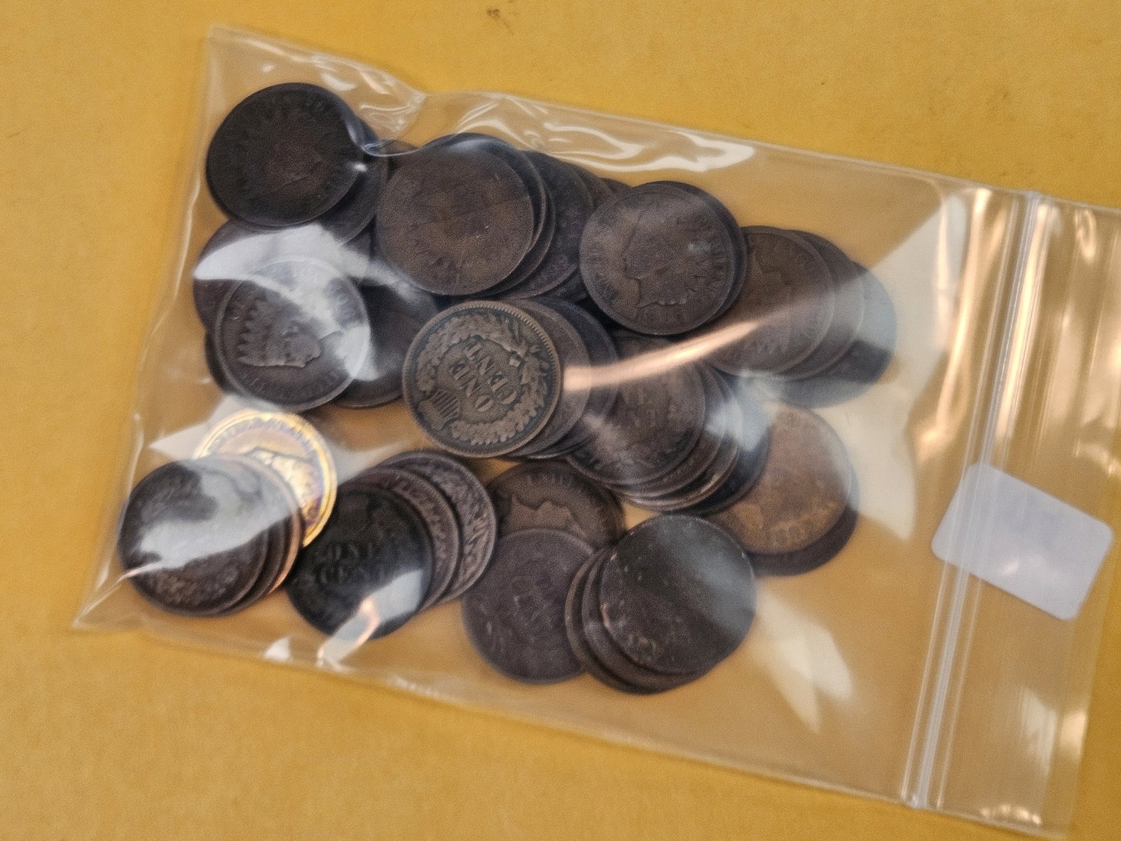 Fifty Indian Cents - 2