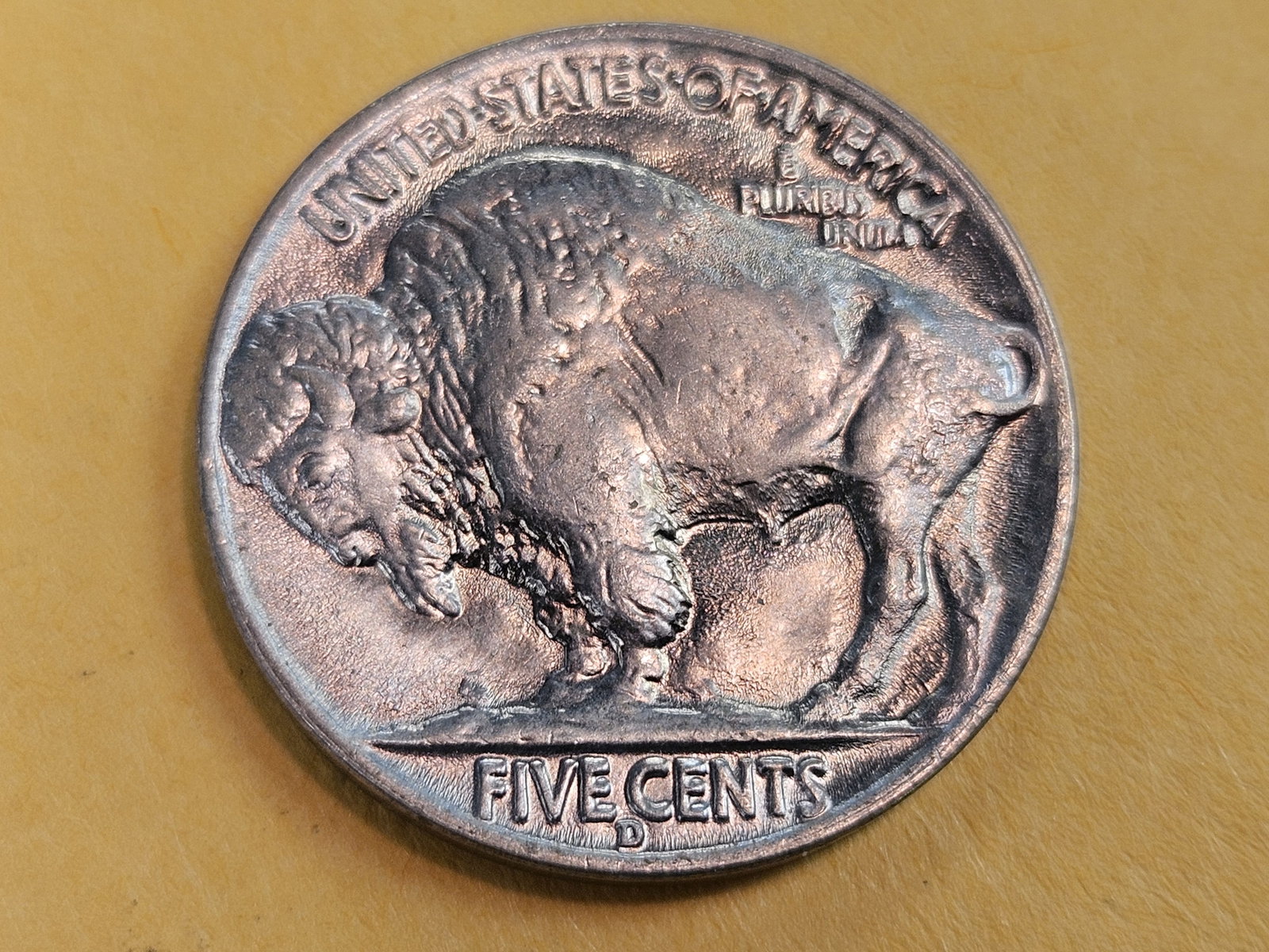 GEM Brilliant Uncirculated plus 1938-D Buffalo Nickel - 6