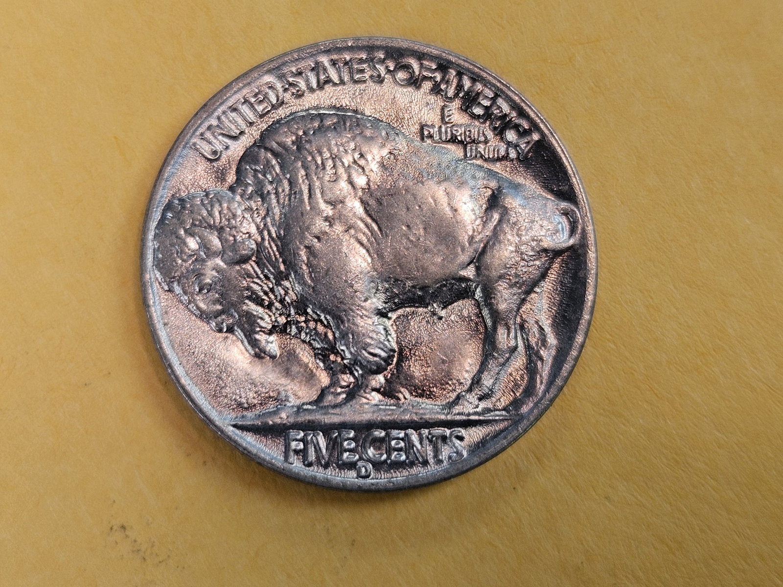 GEM Brilliant Uncirculated plus 1938-D Buffalo Nickel - 7