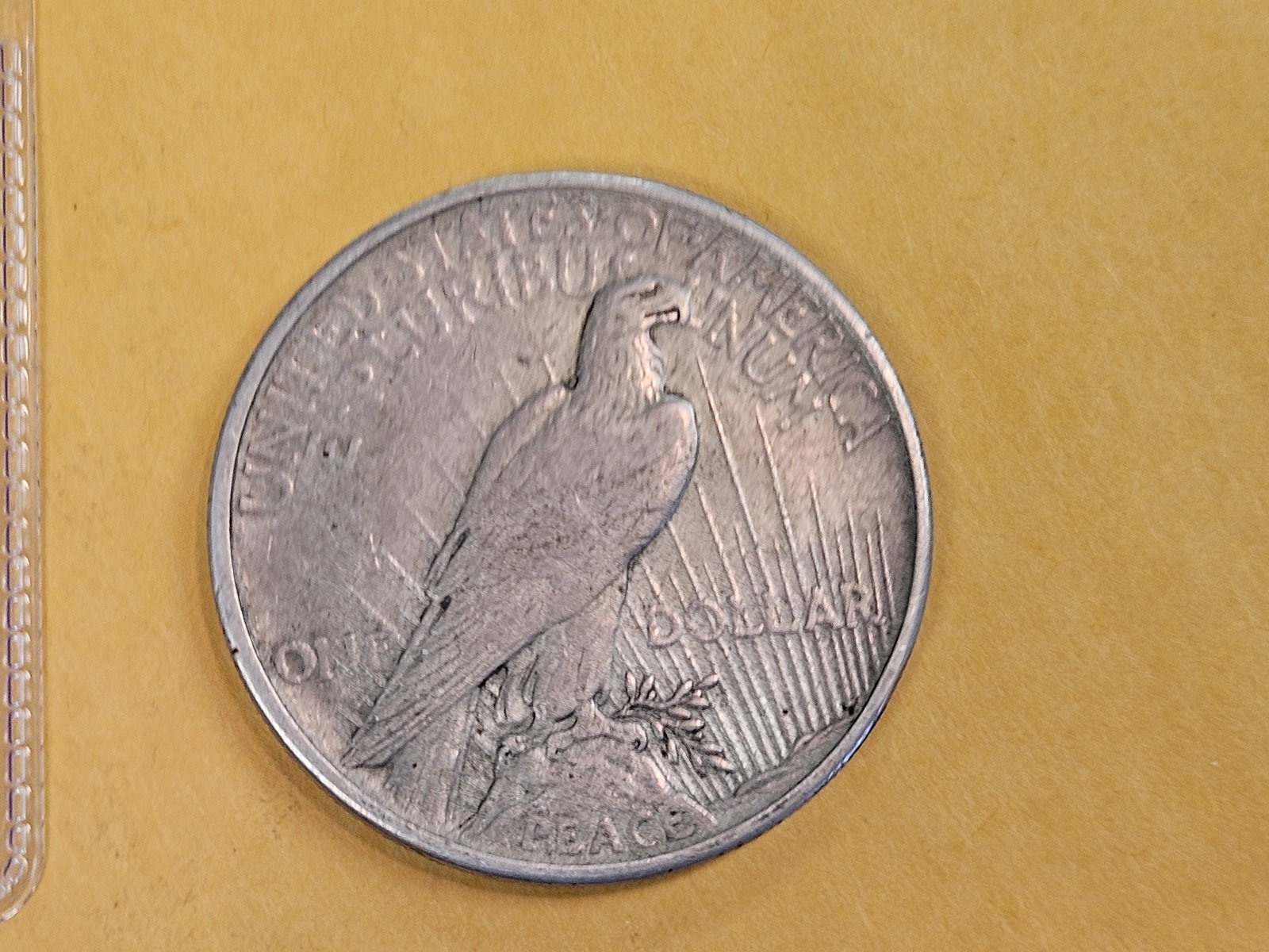 ** KEY DATE ** 1921 Peace Silver Dollar in Extra Fine plus - 3