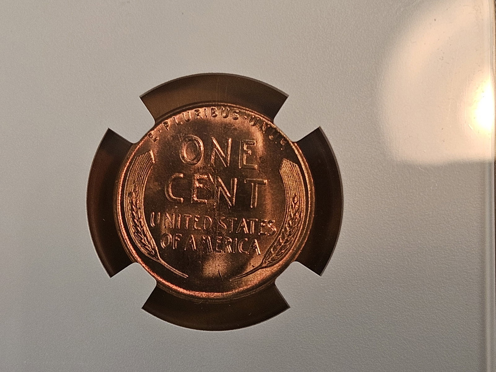 GEM! NGC 1955-S Wheat Cent in Mint State 66 RED - 4