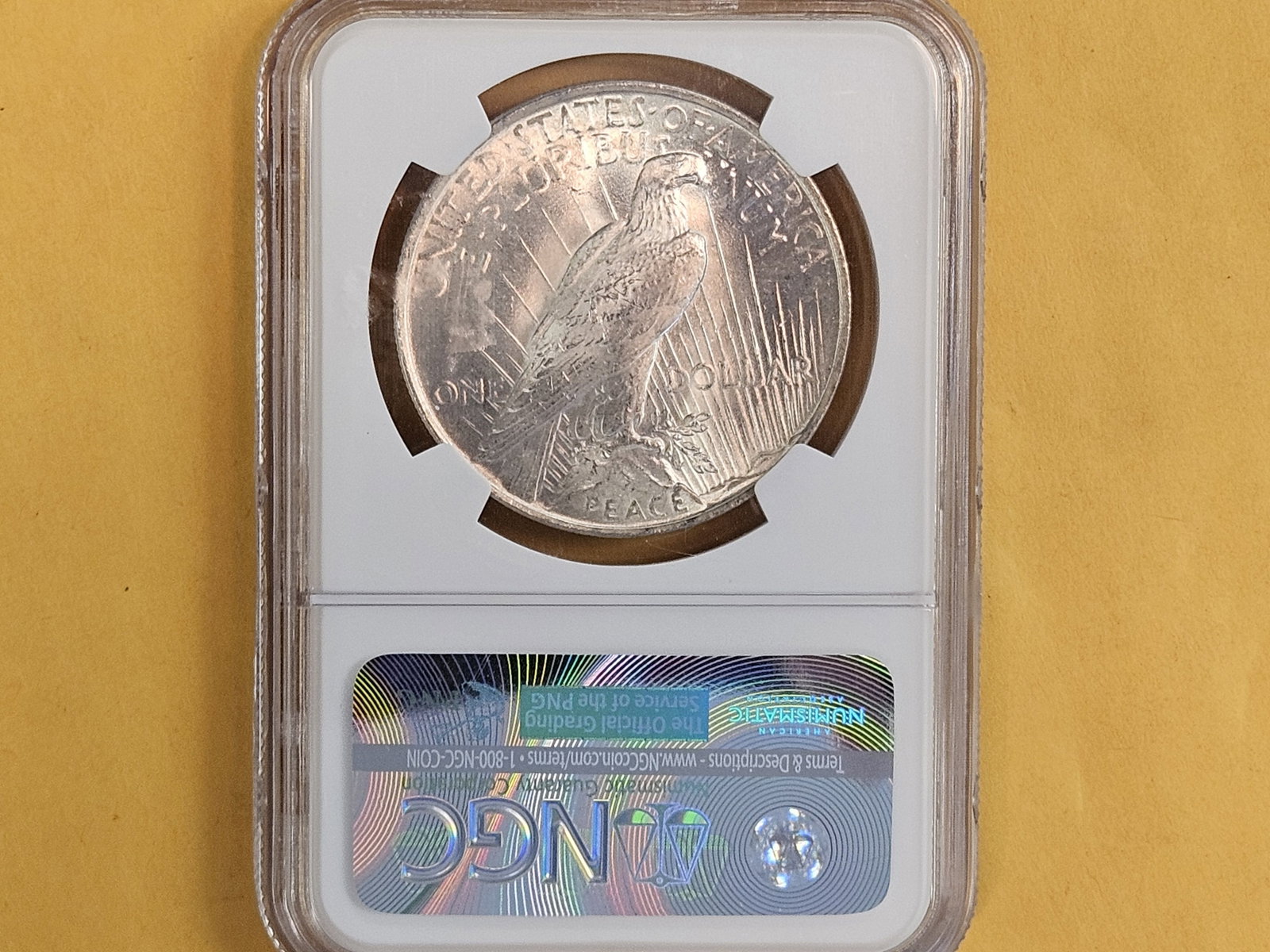 NGC 1922 Peace Silver Dollar in Mint State 63 - 3