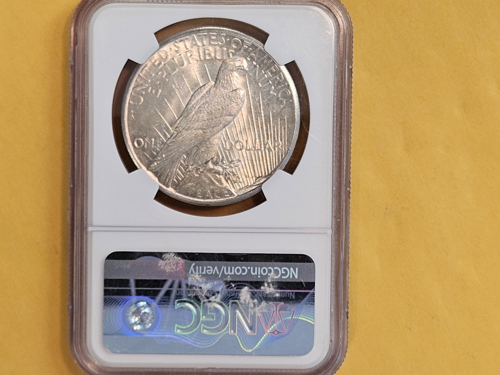 Better NGC 1926 Peace silver Dollar in Mint State 63 - 3