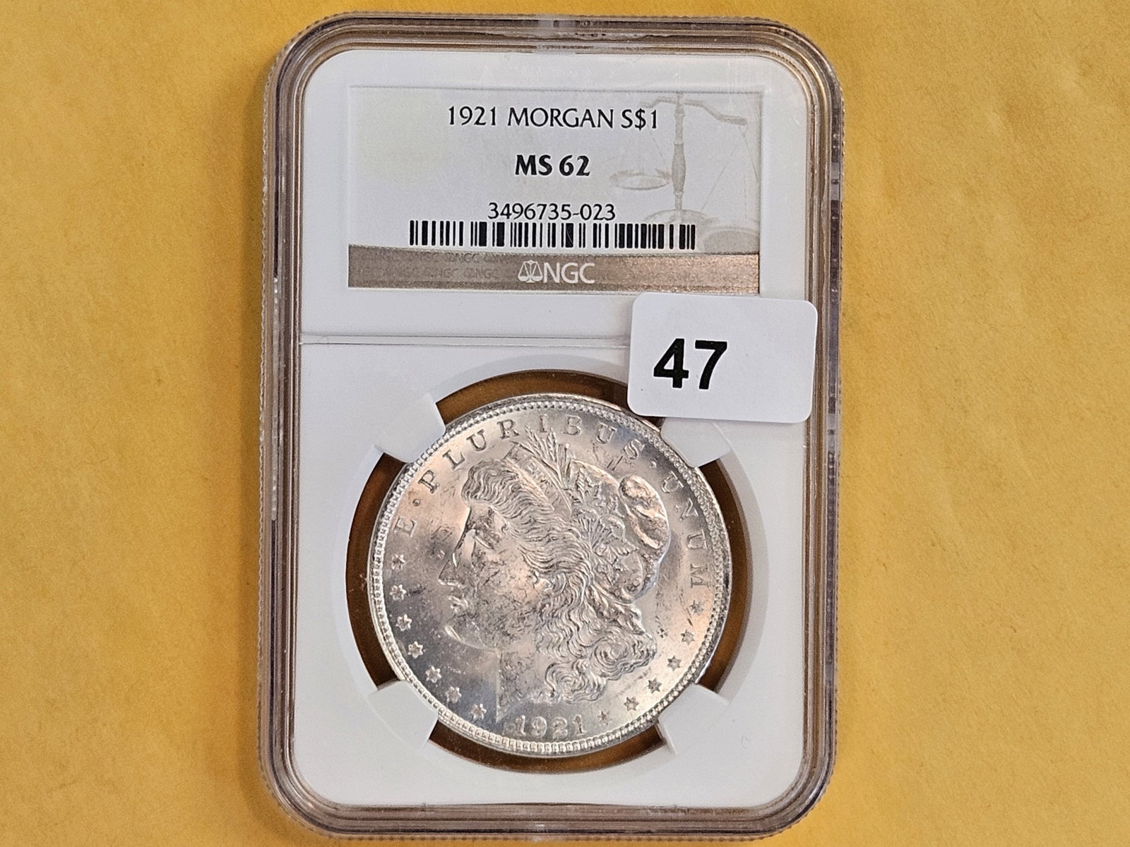 NGC 1921 Morgan Dollar in Mint State 62 - 2
