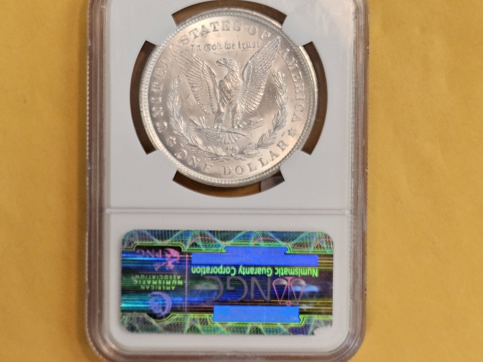 NGC 1921 Morgan Dollar in Mint State 62 - 3