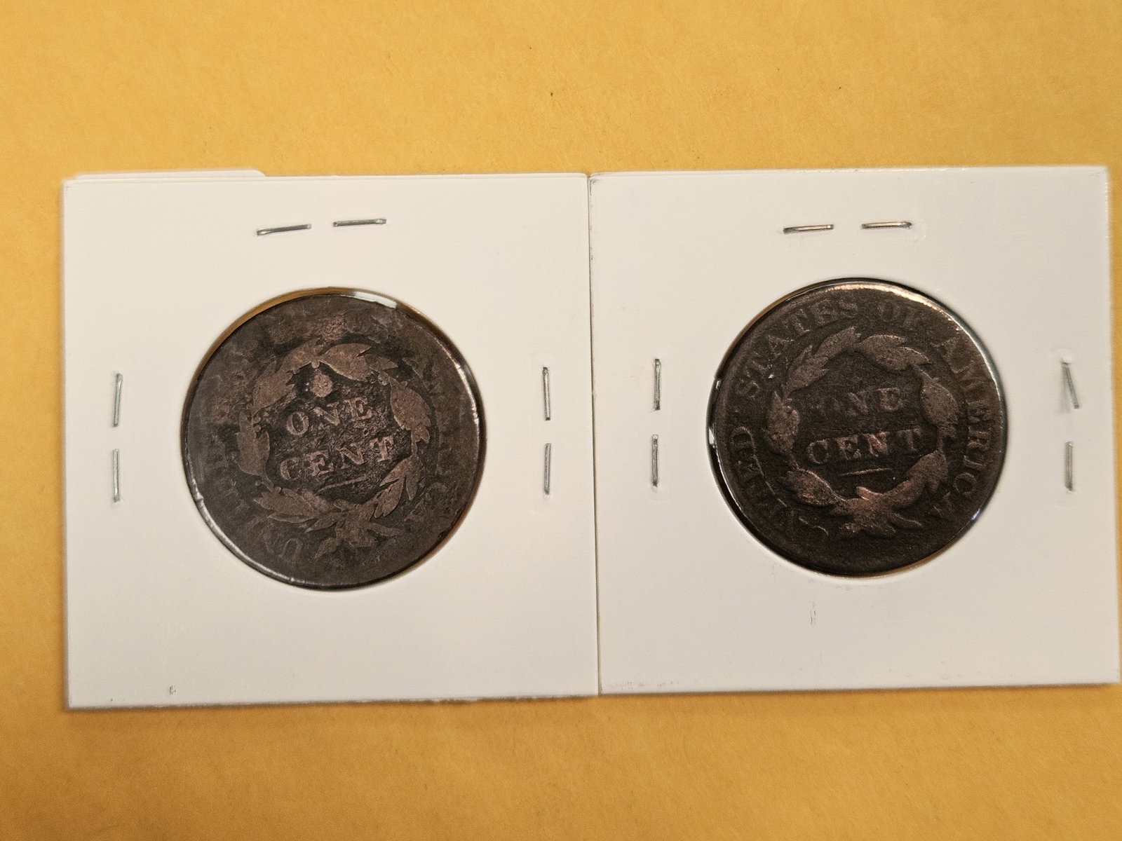 1818 and 1828 Coronet Head Large Cents - 3