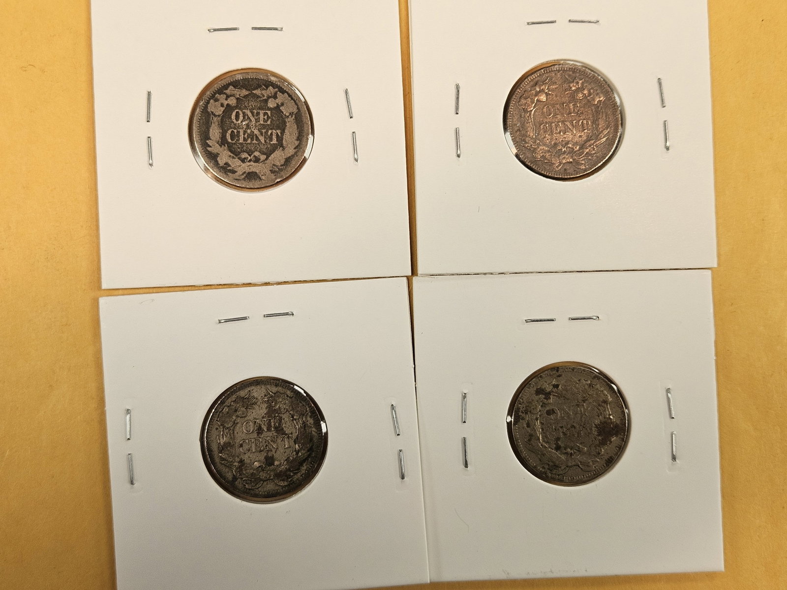 Four Flying Eagle Cents - 4