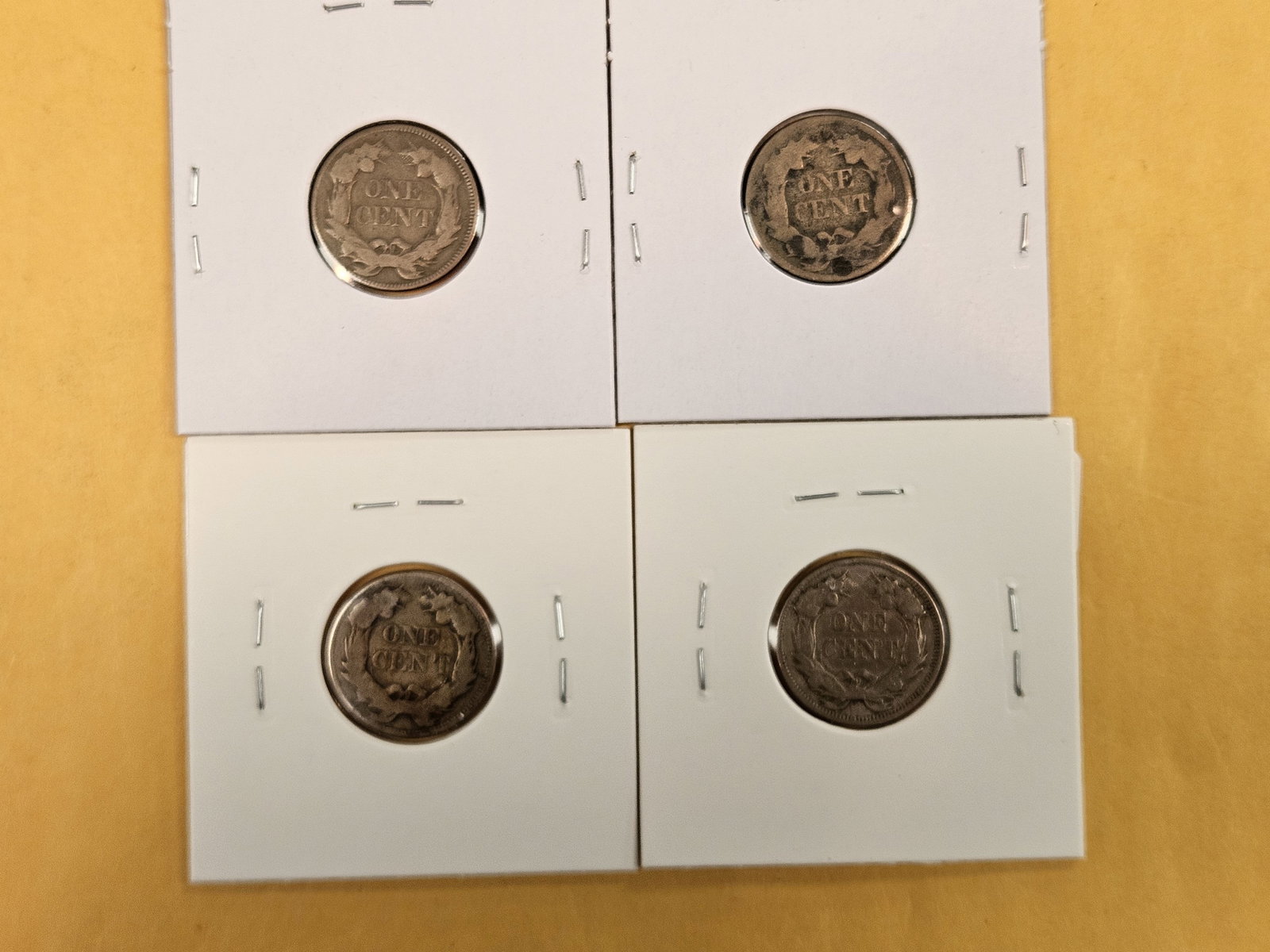 Four Flying Eagle Cents - 3