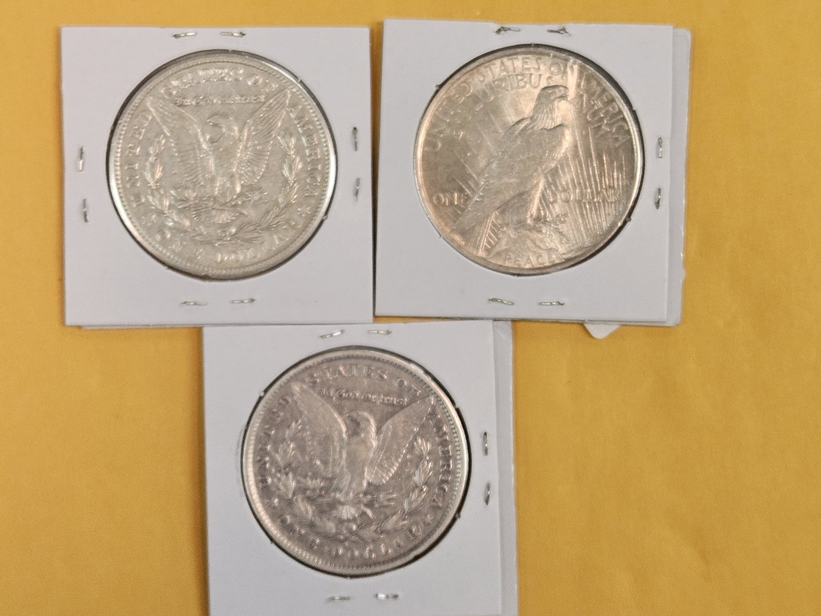 Three mixed Silver Dollars - 3