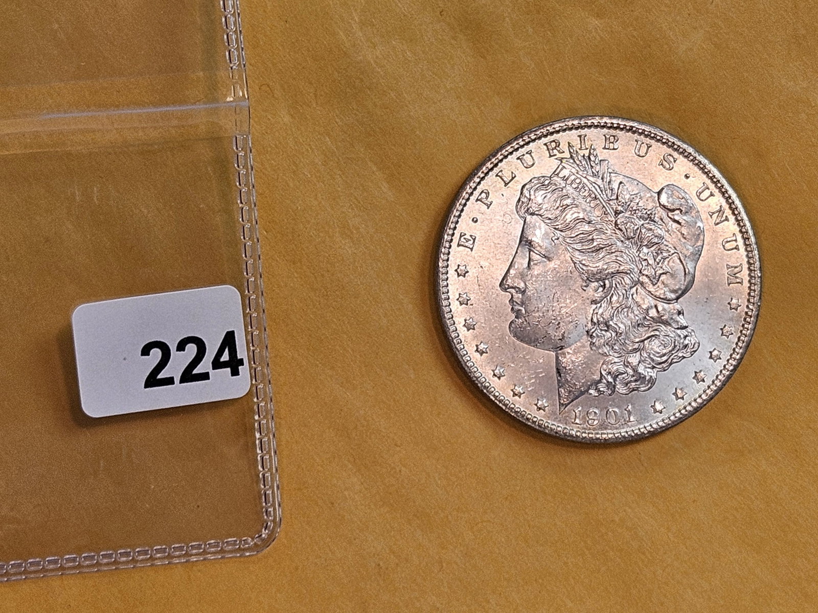 Very Choice Brilliant Uncirculated 1901-O Morgan Dollar - 2