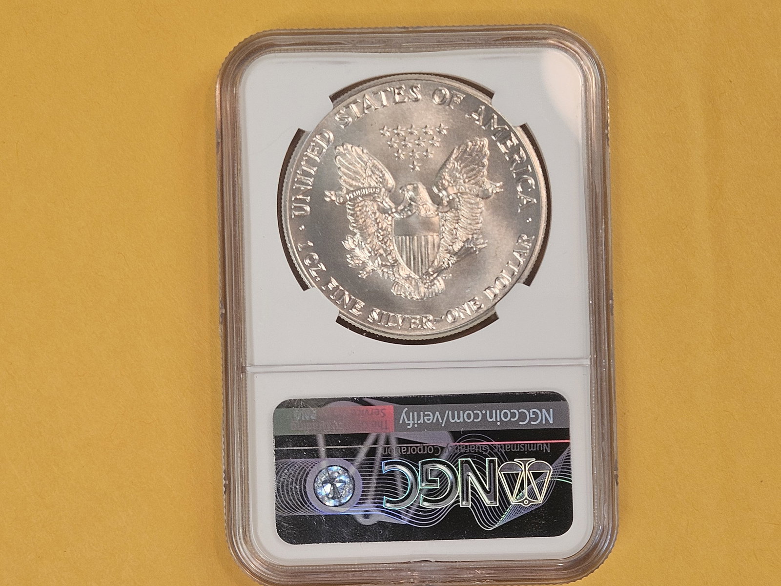 NGC 1987 American Silver Eagle - 2