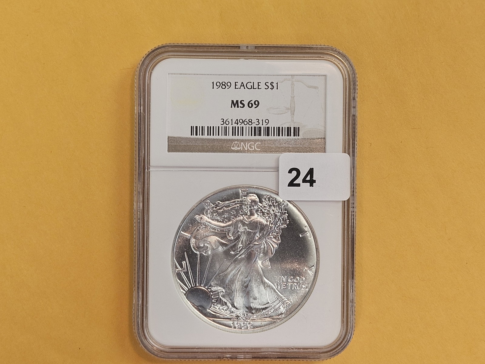 NGC 1989 American Silver Eagle (1 of 2)