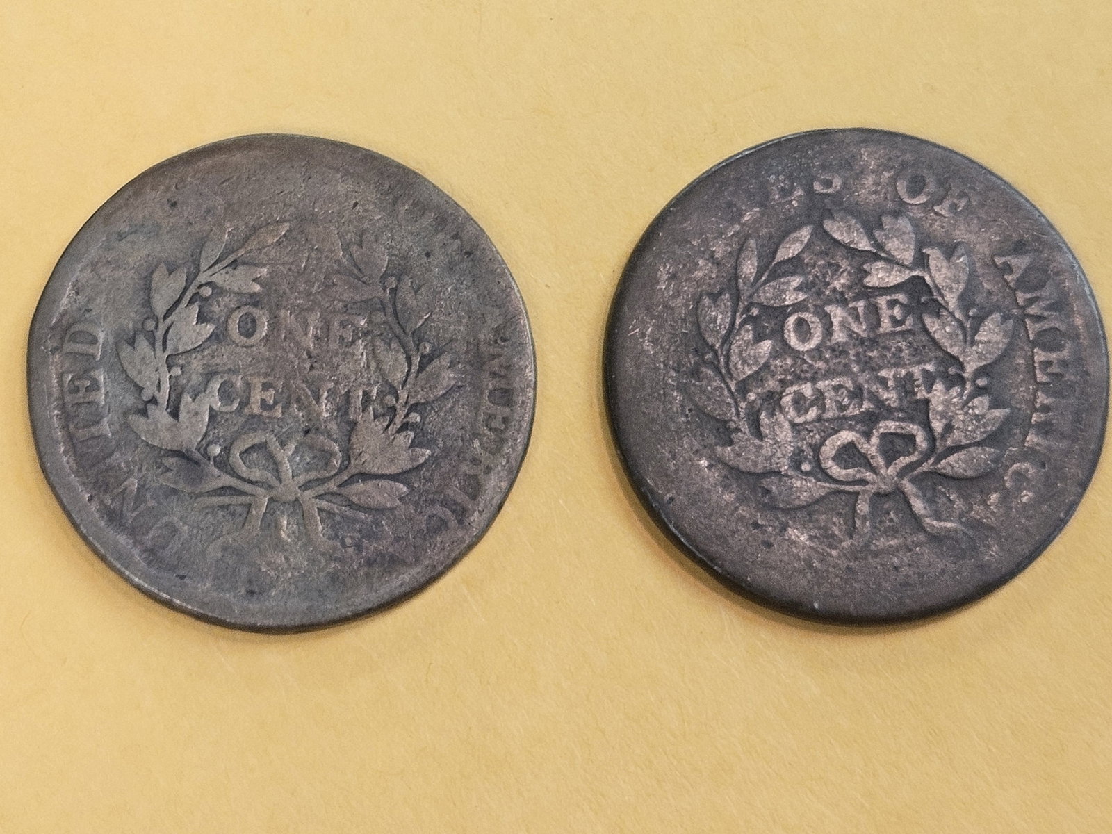 1802 and 1803 Draped Bust Large Cents - 4
