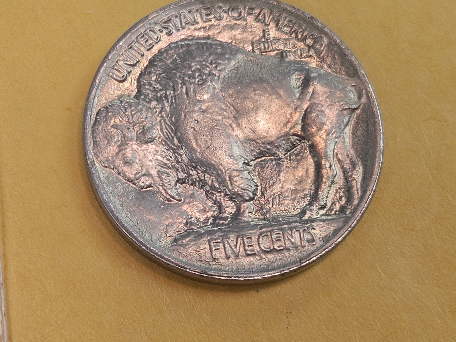 Choice Brilliant Uncirculated 1913 Buffalo Nickel - 5