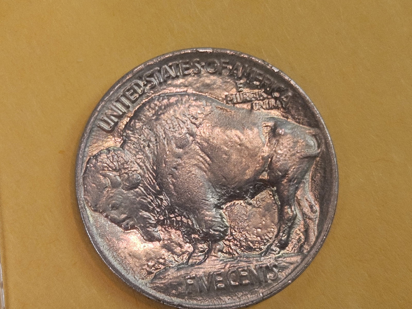 Choice Brilliant Uncirculated 1913 Buffalo Nickel - 6