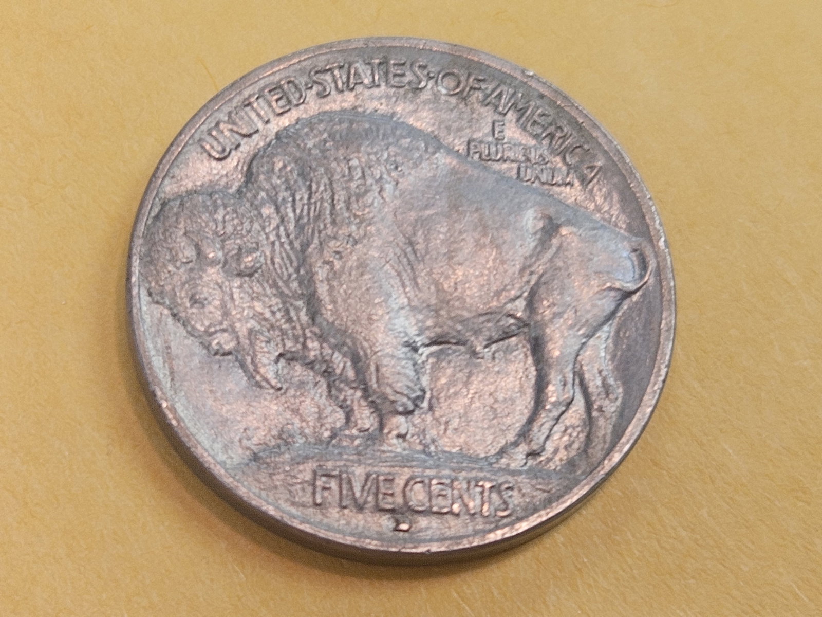 Choice Brilliant Uncirculated 1913-D Buffalo Nickel - 6