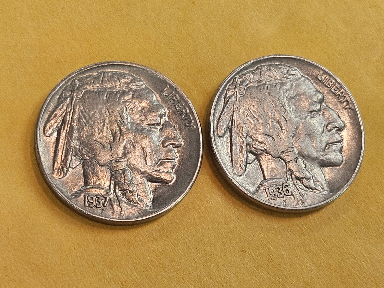 Two Choice Brilliant Uncirculated Buffalo Nickels - 3