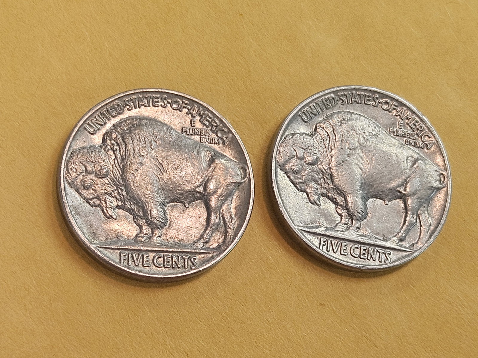 Two Choice Brilliant Uncirculated Buffalo Nickels - 6