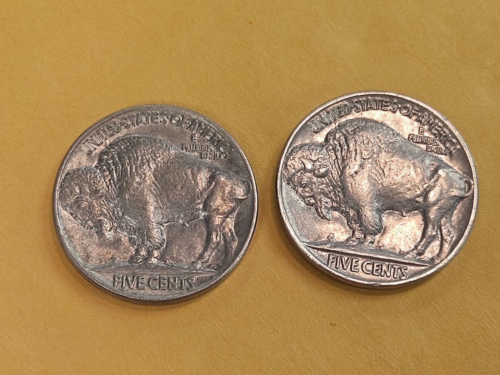 Two Choice Brilliant Uncirculated Buffalo Nickels - 7