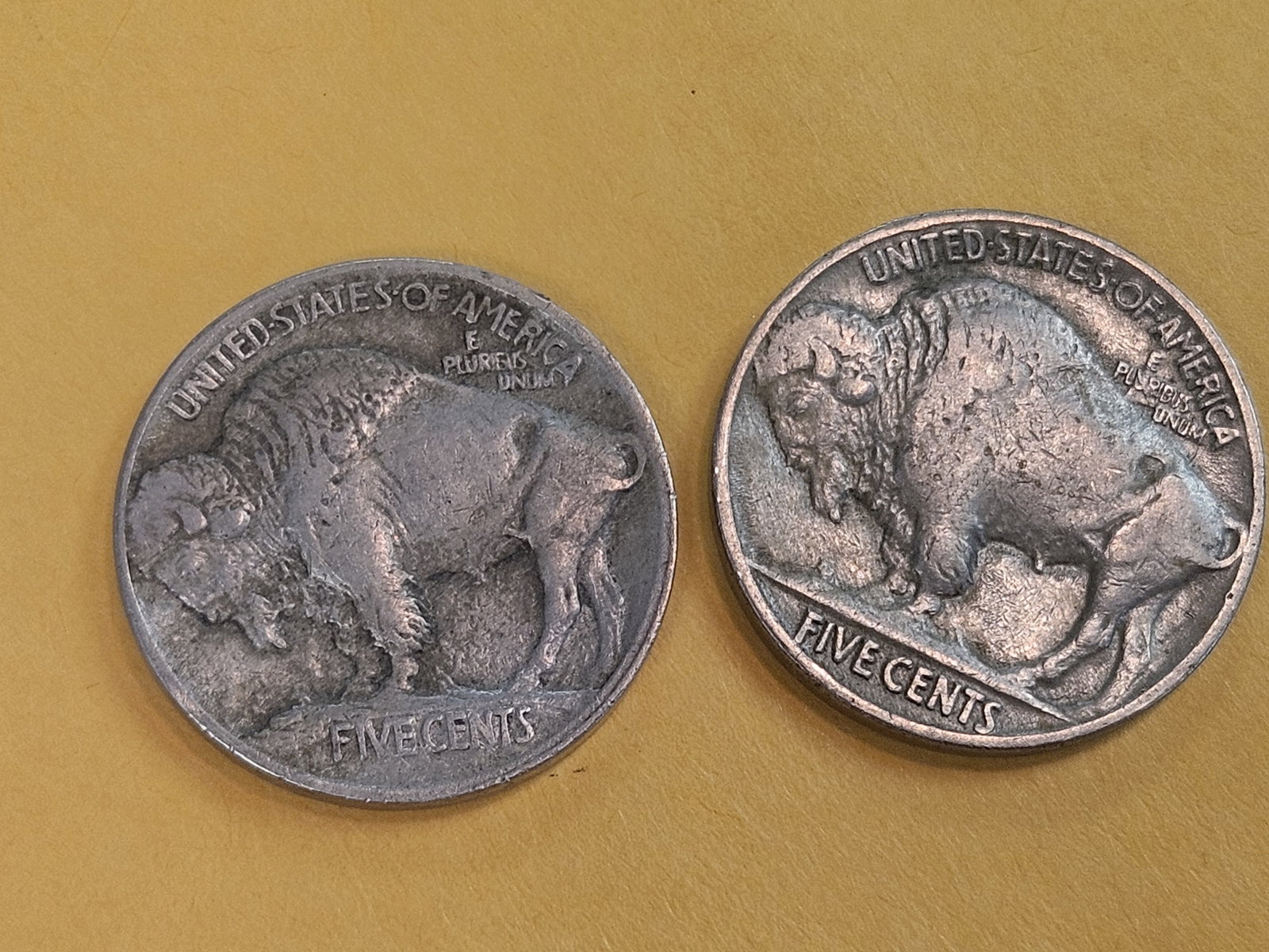 Two First year Issue Buffalo Nickels in Very Fine - 4