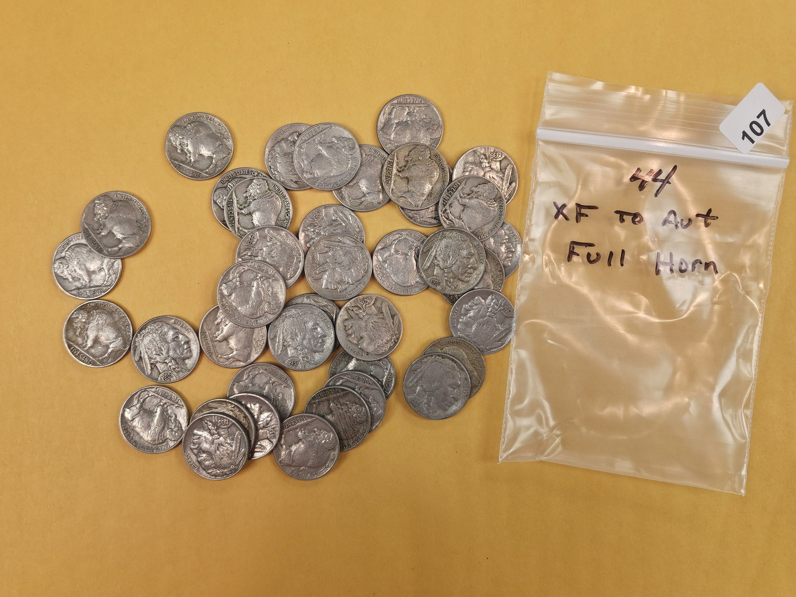 FORTY-FOUR Buffalo Nickels: All in Extra Fine to About Uncirculated plus. Dealer said they were all Full Horn