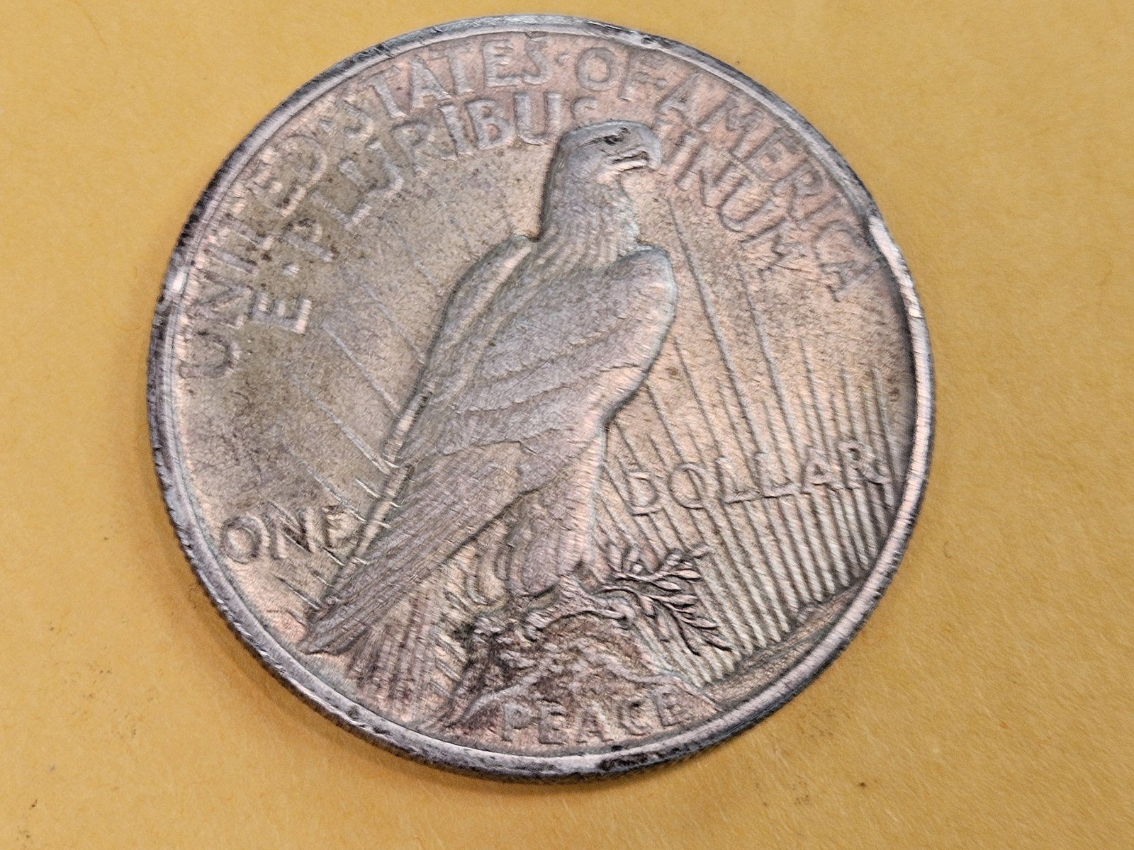 KEY DATE! 1921 Peace Dollar in Extra fine - 45 - 4