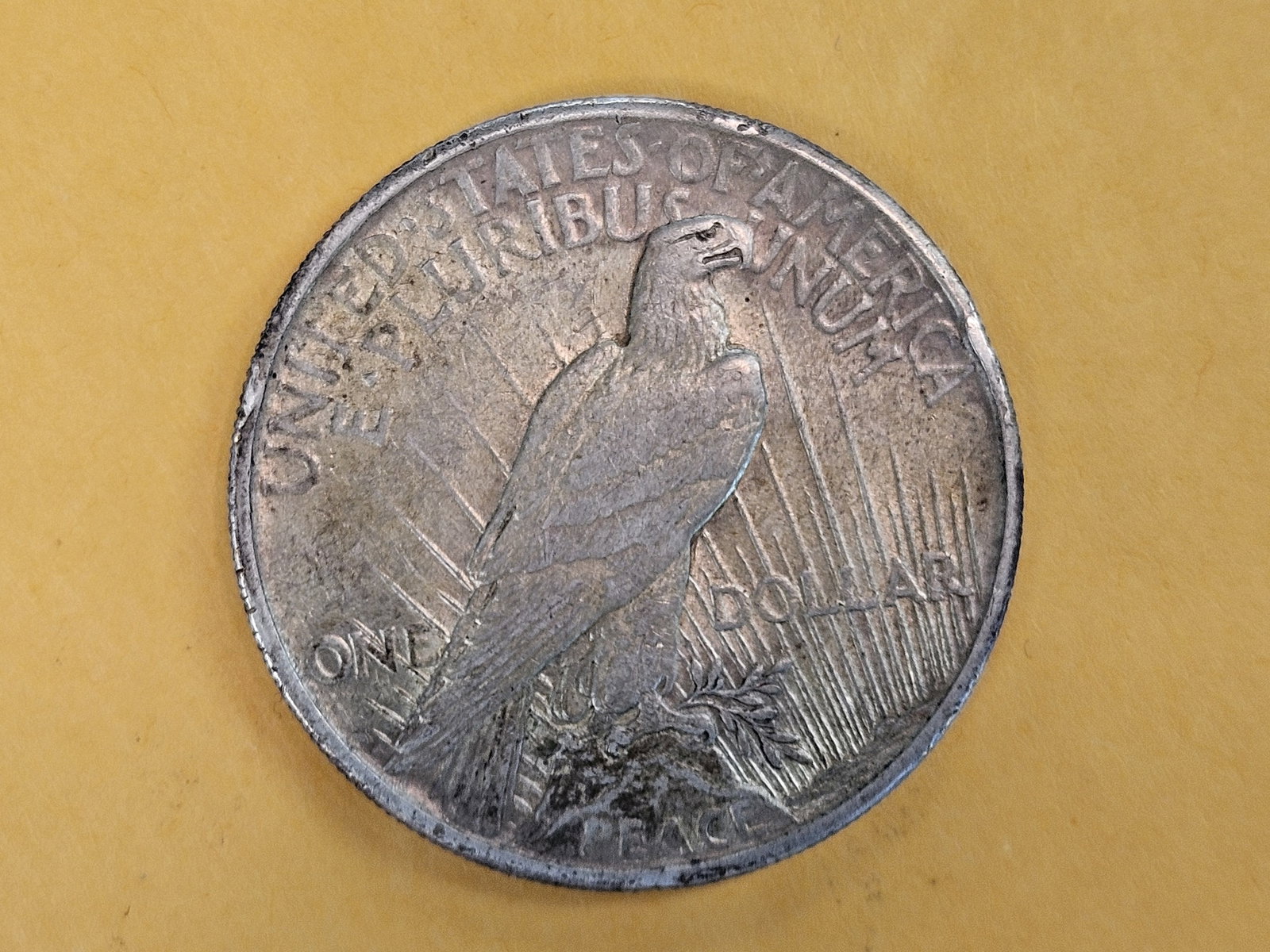 KEY DATE! 1921 Peace Dollar in Extra fine - 45 - 5