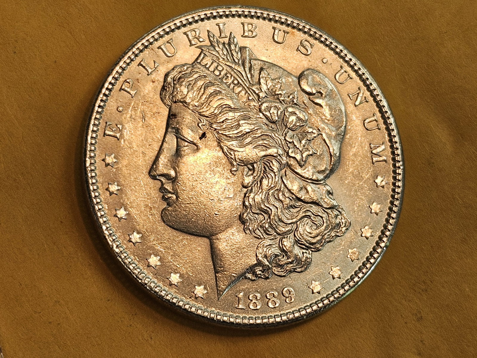 Choice Brilliant Uncirculated Plus 1889 Morgan Silver Dollar - 3