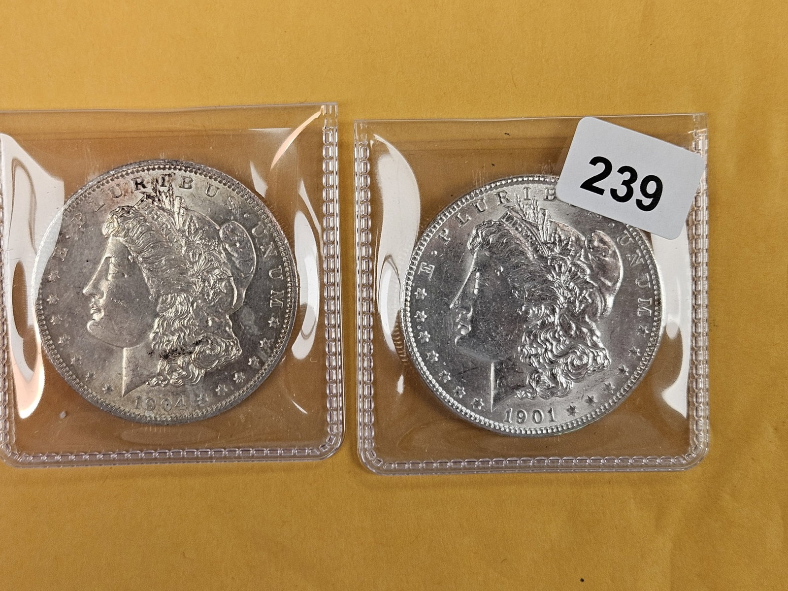 Two Brilliant Uncirculated Morgan Silver Dollars: 1904-O and 1901-O
