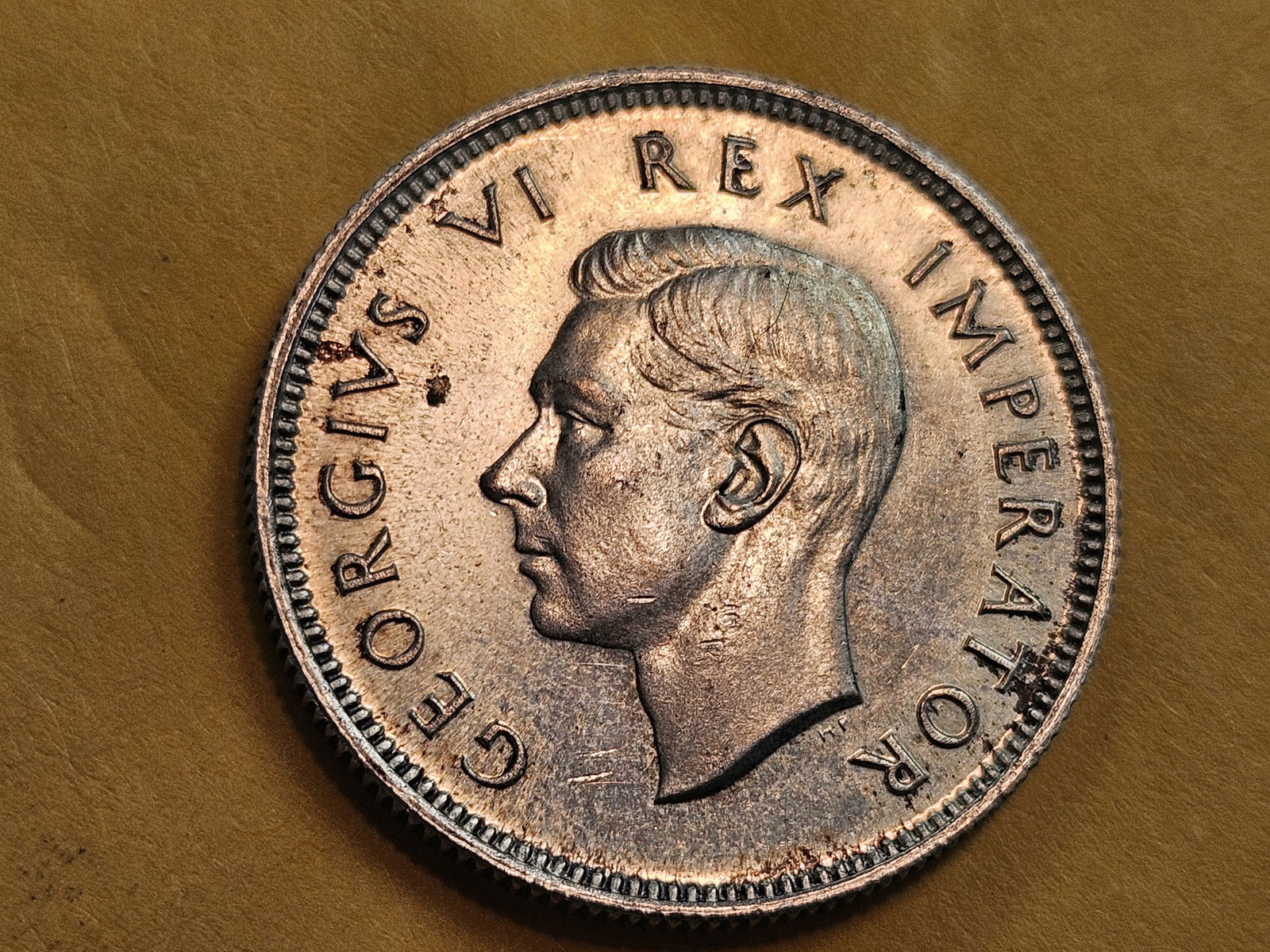 Very Choice Brilliant Uncirculated 1947 South Africa silver shilling - 4