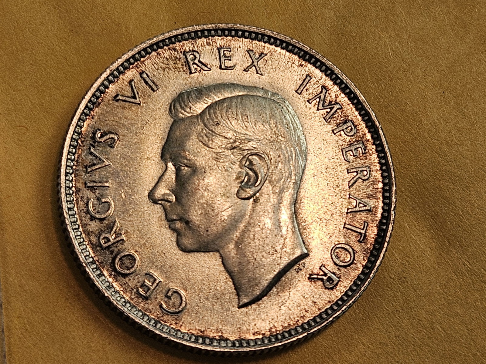 GEM Brilliant Uncirculated plus 1947 South Africa silver 2 shillings: KM 29