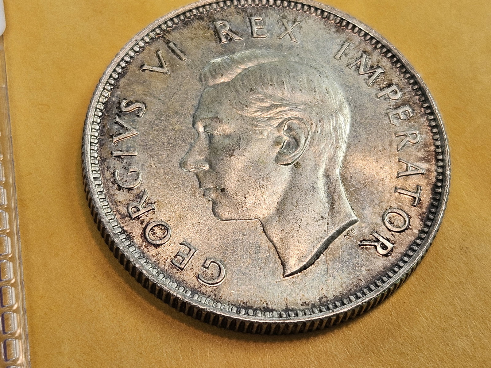 GEM Brilliant Uncirculated plus 1947 South Africa silver 2 shillings - 3
