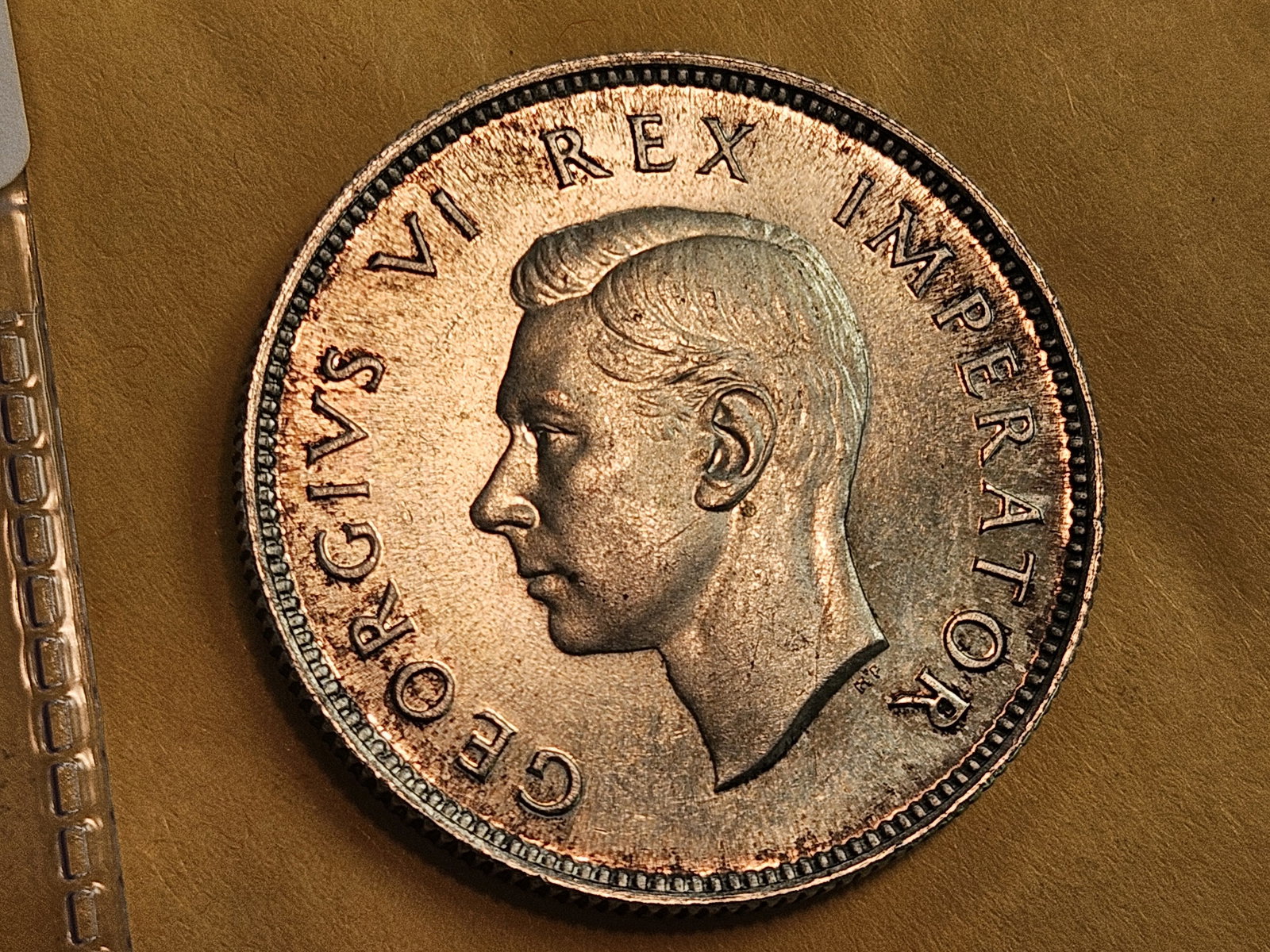 GEM Brilliant Uncirculated plus 1947 South Africa silver 2 shillings - 5