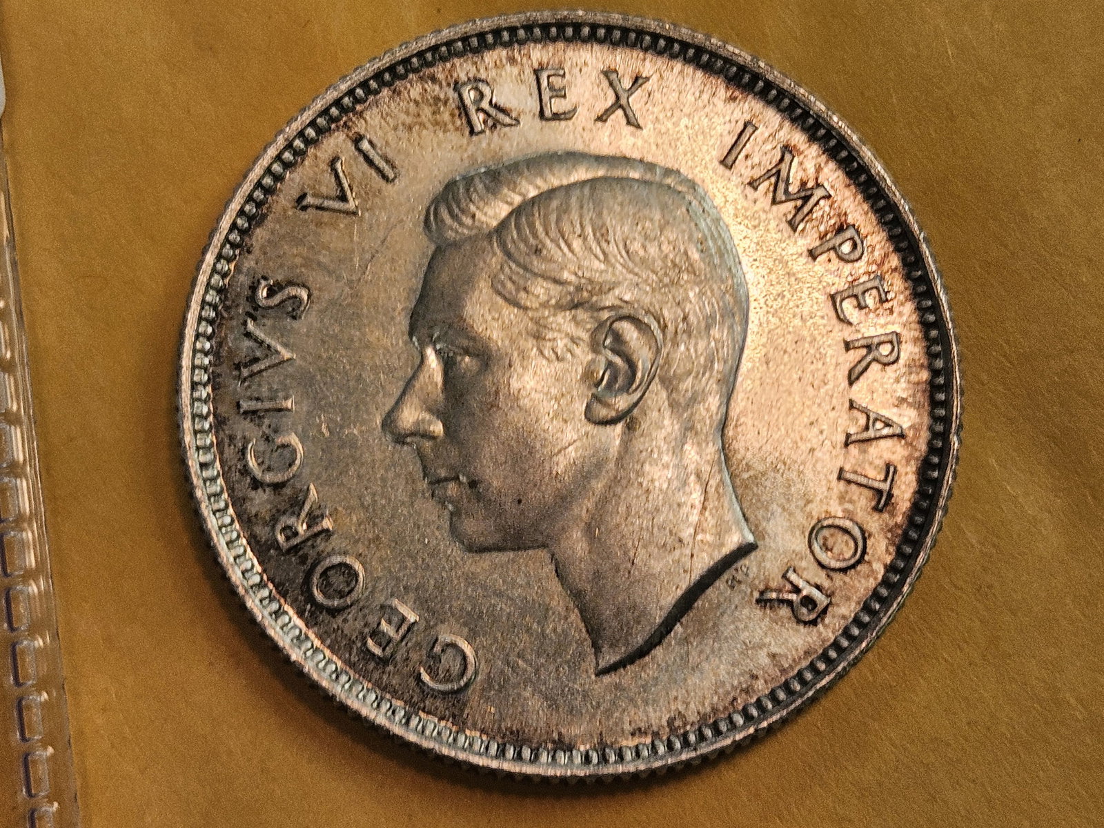 GEM Brilliant Uncirculated plus 1947 South Africa silver 2 shillings - 6