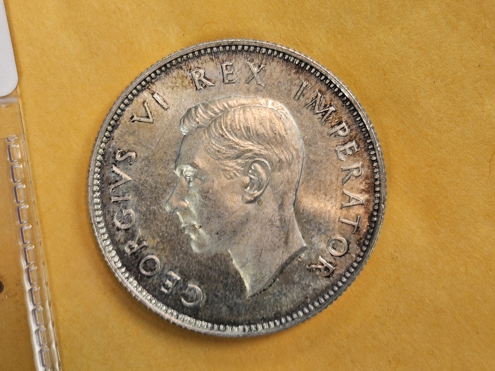 GEM Brilliant Uncirculated plus 1947 South Africa silver 2 shillings - 7