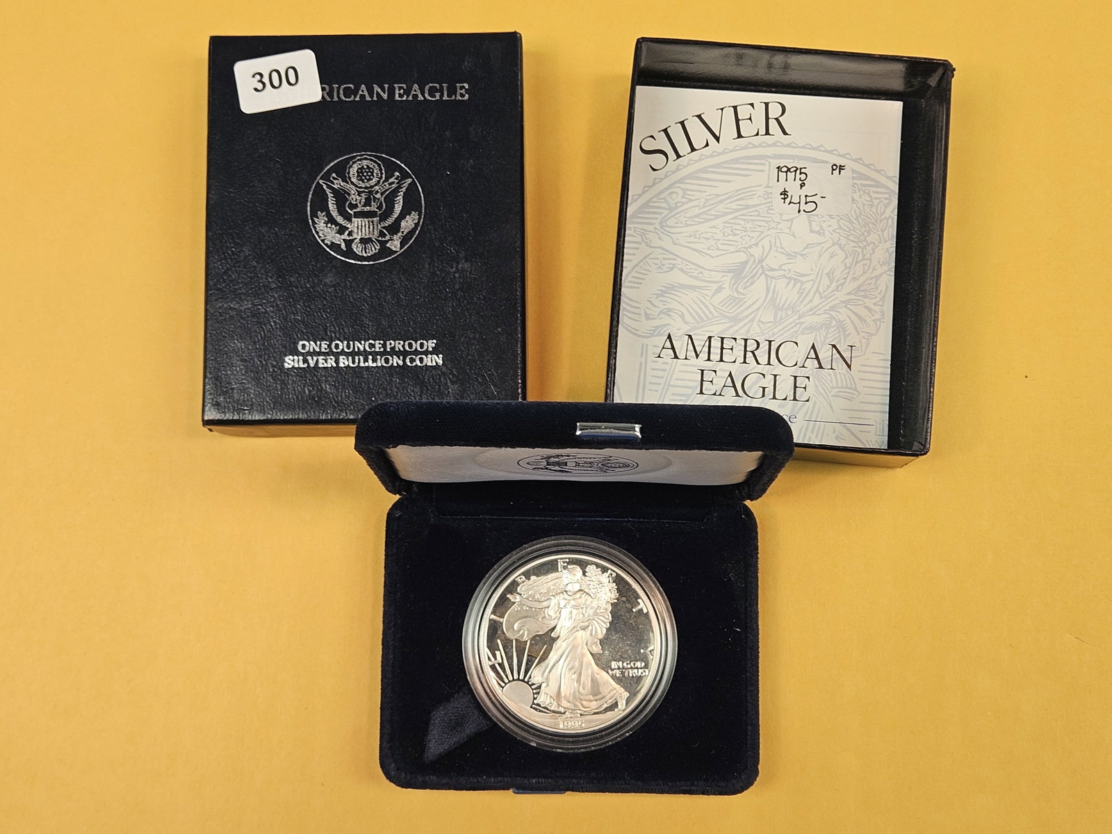 GEM Proof Deep Cameo 1995 American Silver Eagle (1 of 3)