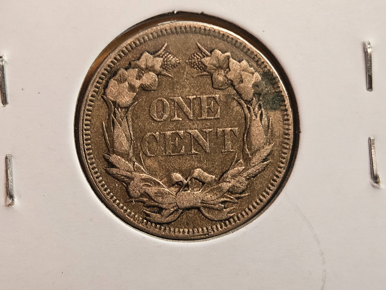 1857 and 1858 Flying Eagle Cents - 5