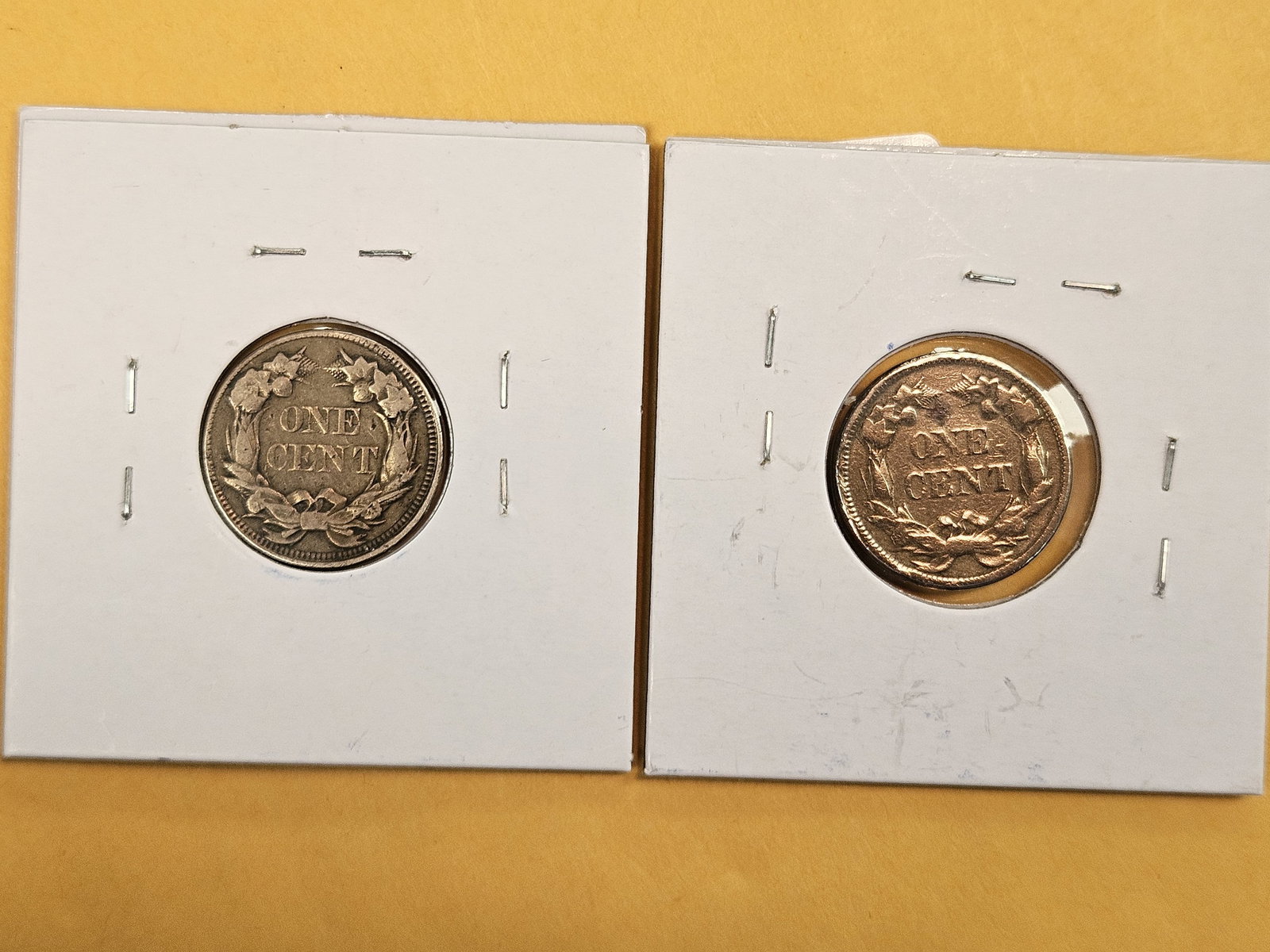 Two 1858 Flying Eagle Cents - 2