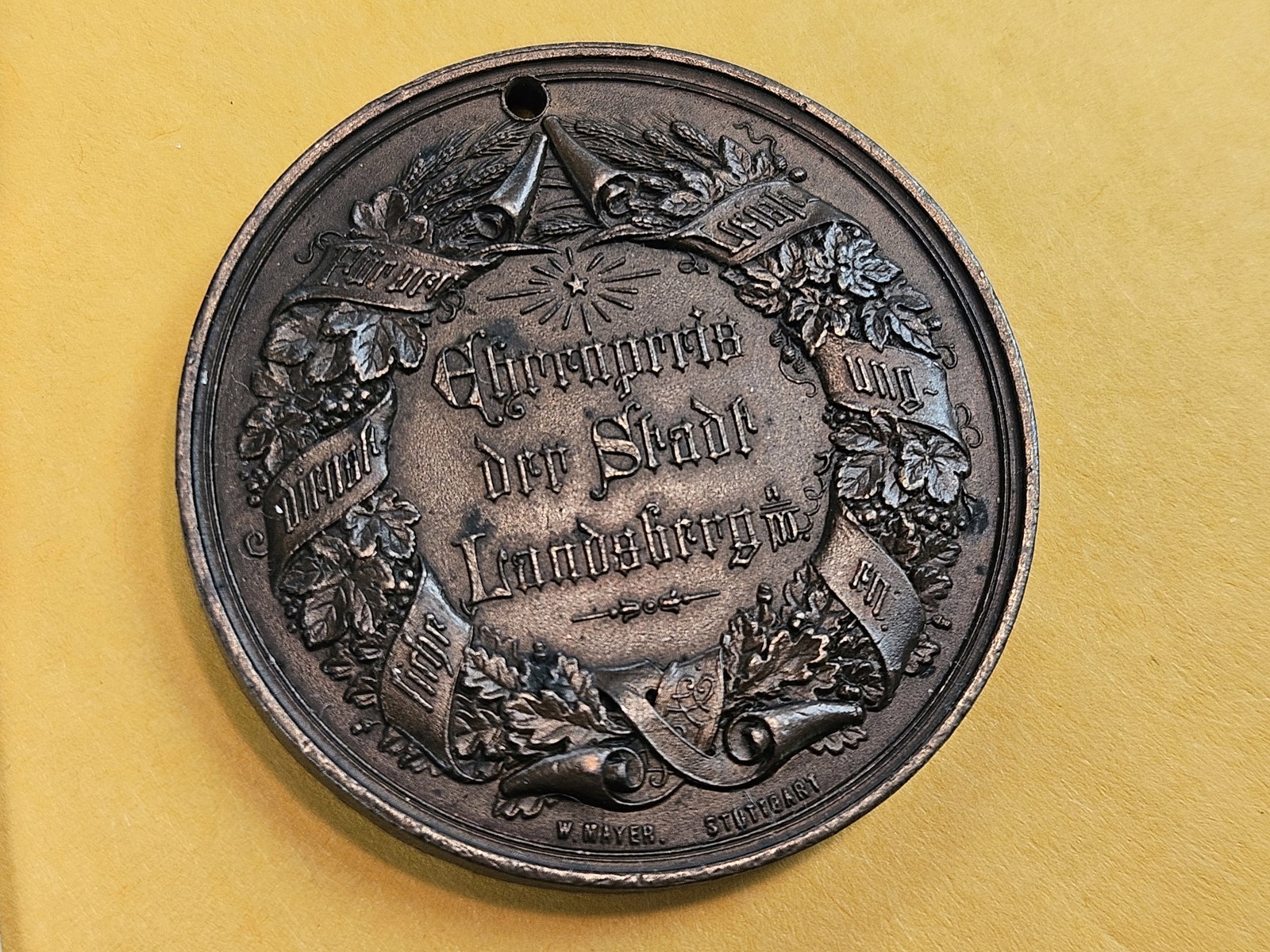 GEM 1885 German Bronze Agricultural Medal - 7