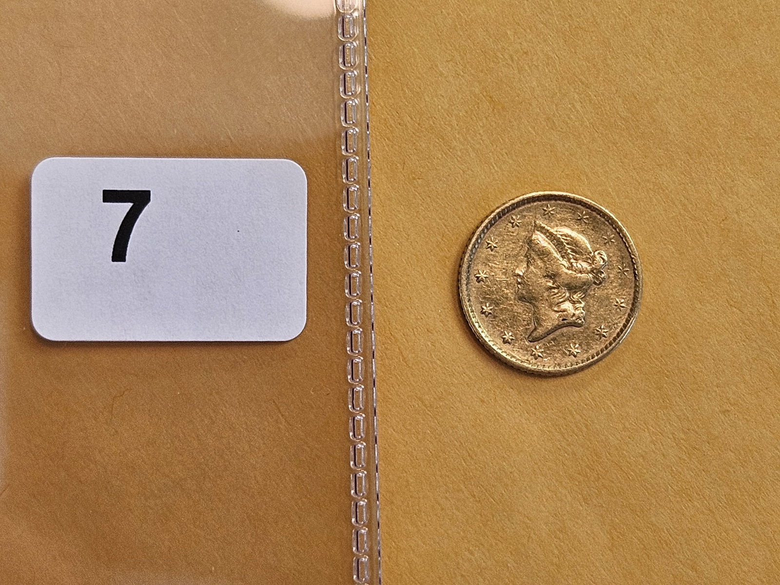GOLD! Type 1 Gold Dollar - 2