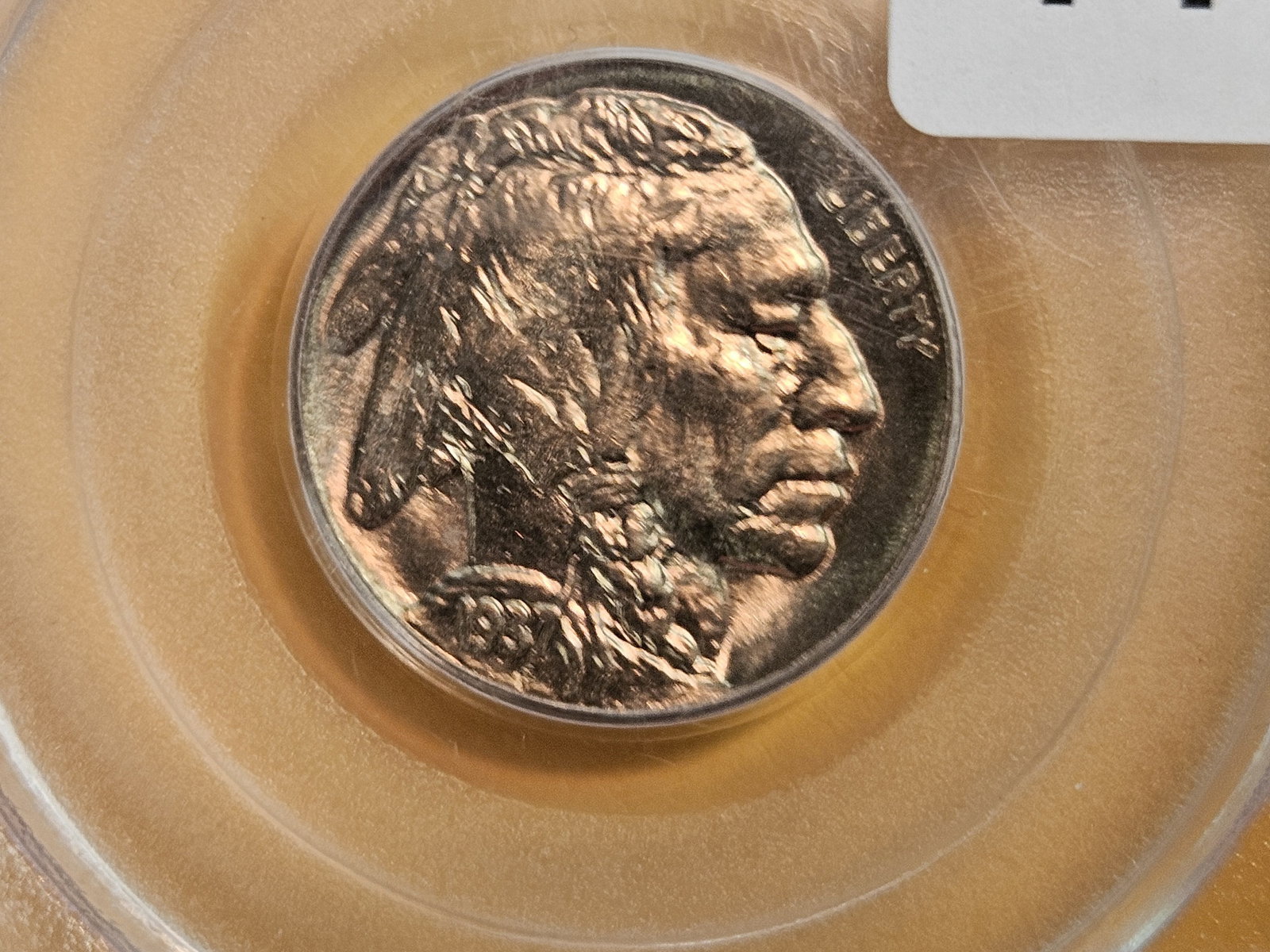 GEM! PCGS 1937-D Buffalo Nickel in Mint State 65 (1 of 4)