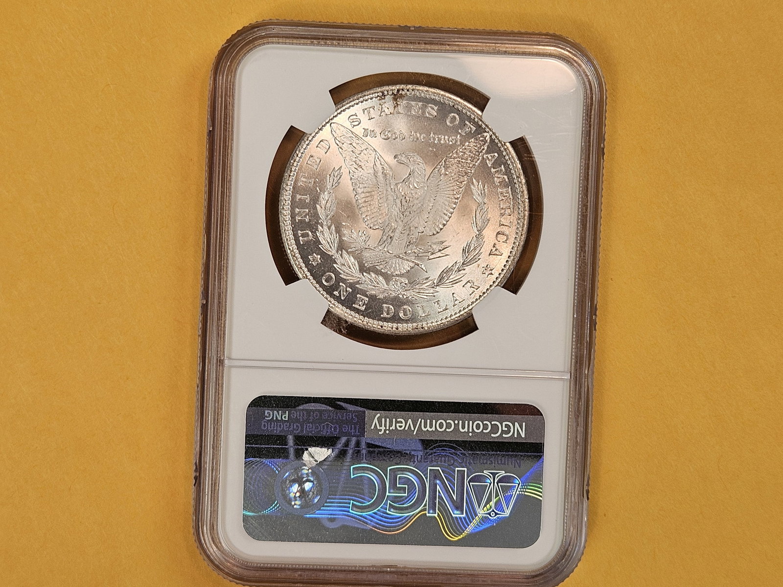 NGC 1885 Morgan Dollar in Mint State 63 - 3