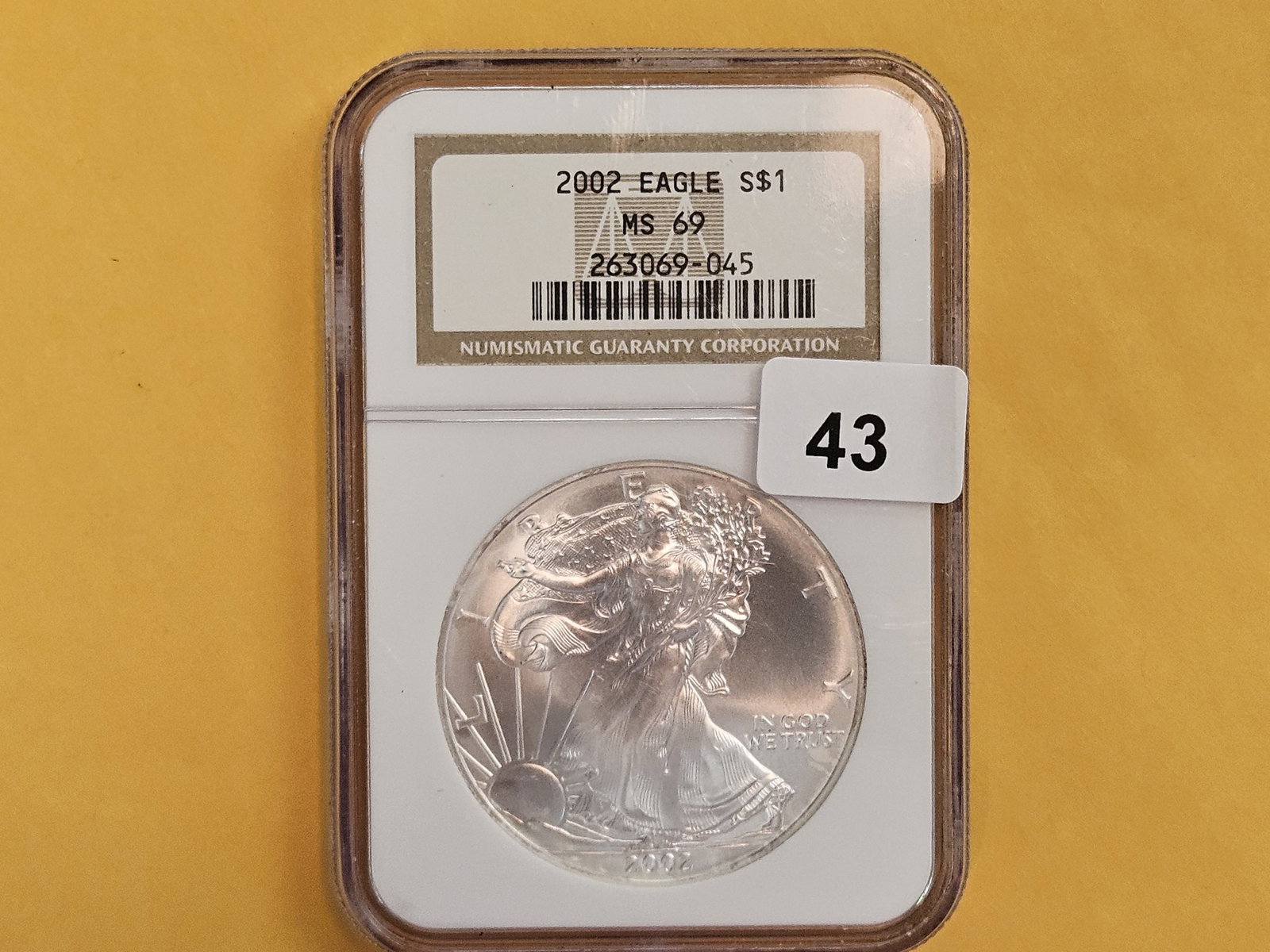 NGC 2002 American Silver Eagle (1 of 2)