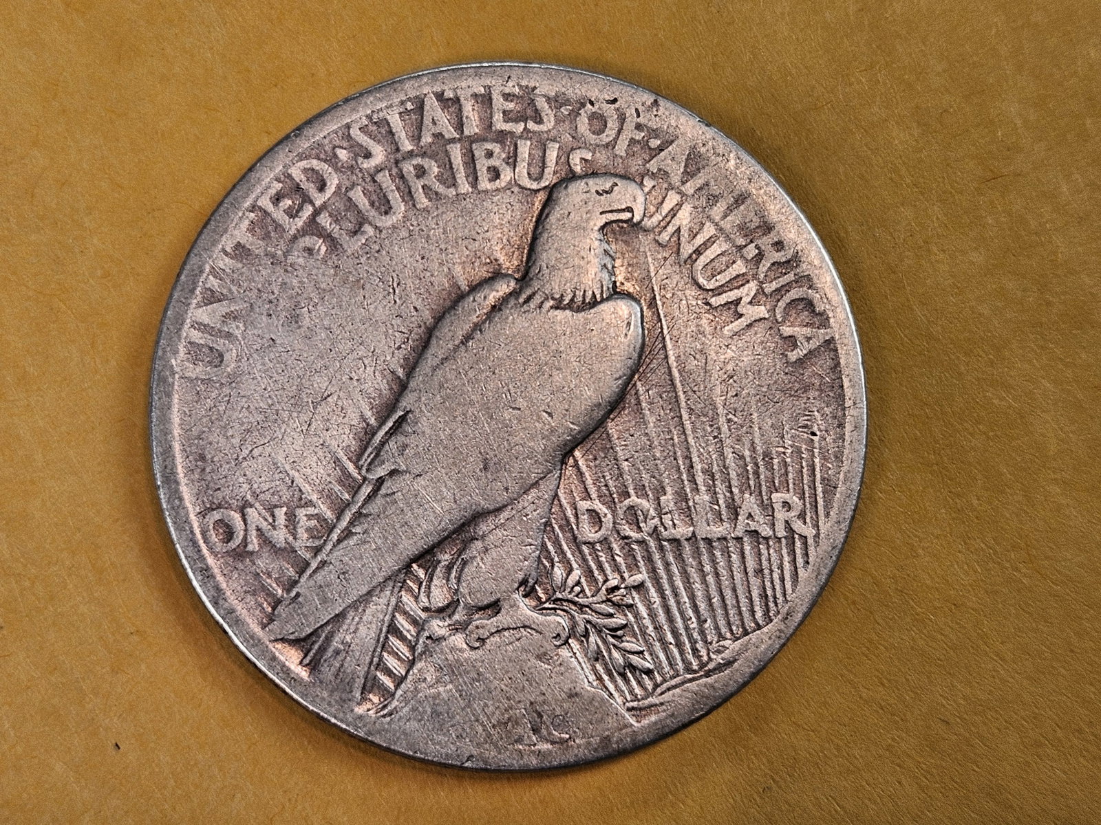 ** KEY DATE ** 1921 Peace Silver Dollar in Fine - 3