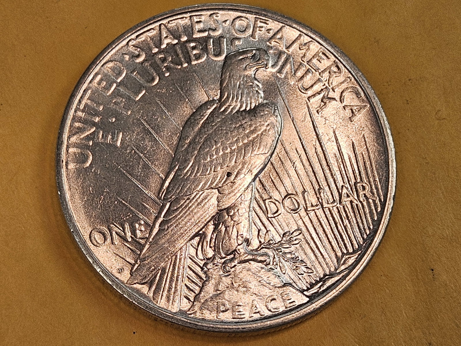 * Choice Brilliant Uncirculated 1926-D Peace Silver Dollar - 4
