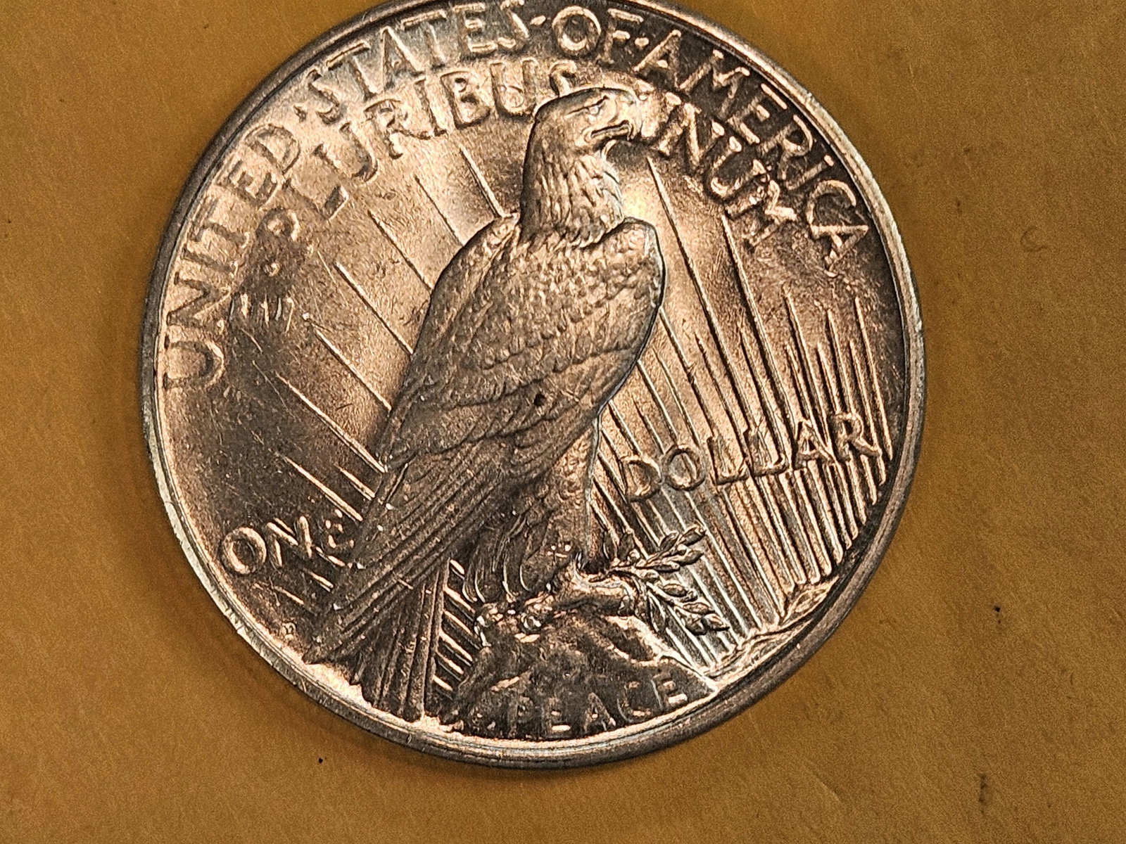 * Choice Brilliant Uncirculated 1926-D Peace Silver Dollar - 5