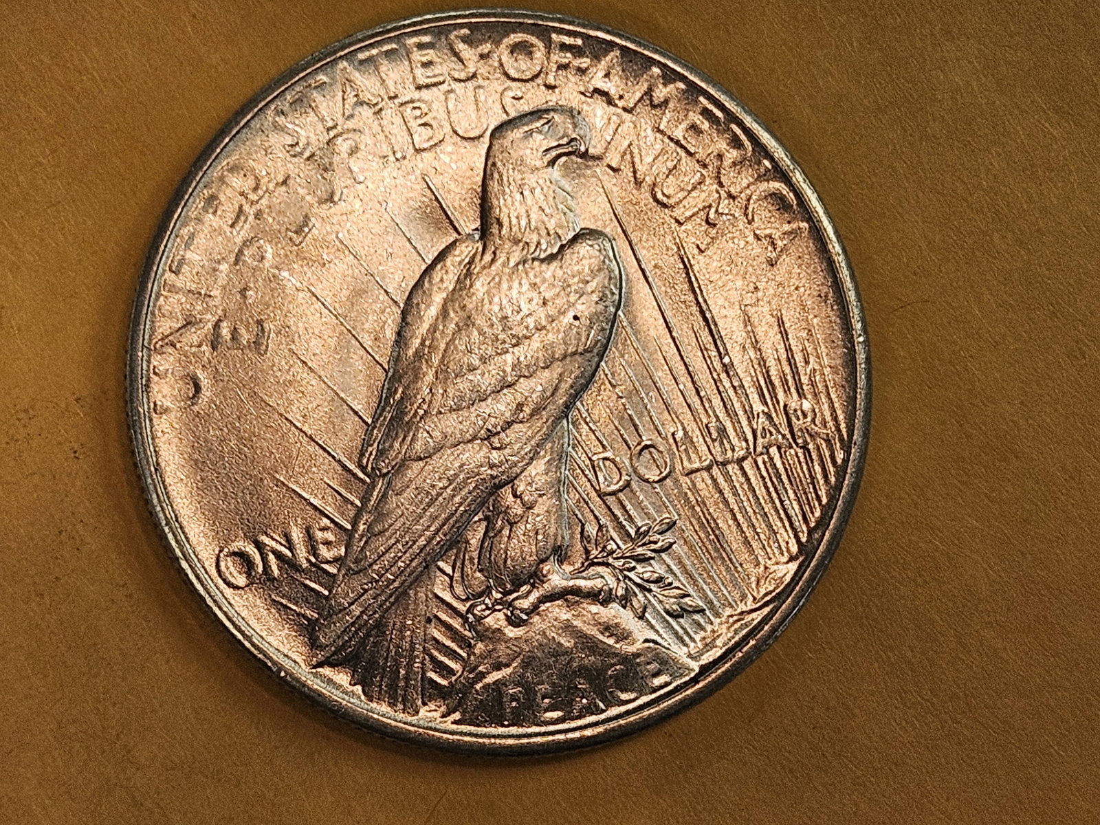 * Very Choice Brilliant Uncirculated 1935 Peace Silver Dollar - 6